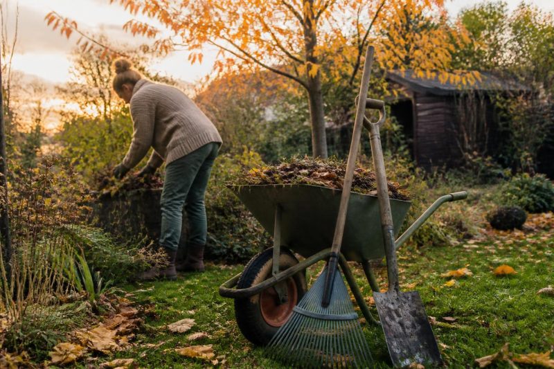 Gartenarbeiten im Oktober: Was kann warten und was muss jetzt erledigt werden?